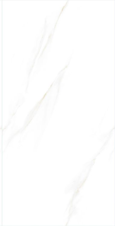 Time Cielo Matte 24 x 48